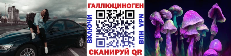 Псилоцибиновые грибы Psilocybe  Темрюк 